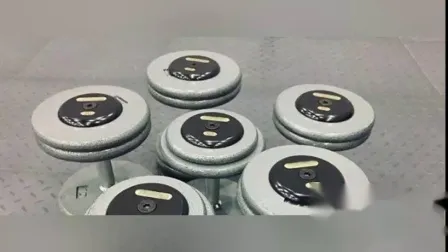 Gym Equipment Dumbbells Osf011 Free Weight Cast Iron Dumbbell