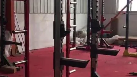 Прямая поддержка завода Shandong Dezhou Weight Lifting Power Rack Crossfit Rack