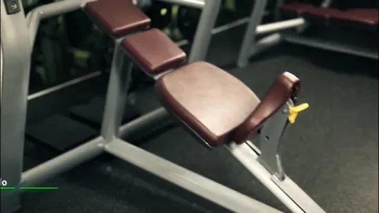 Оборудование для спортзалов Tz Fitness, прямая скамья/гантели с завода